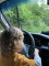Impreza Letni Zlot 4x4 Daddy Cool